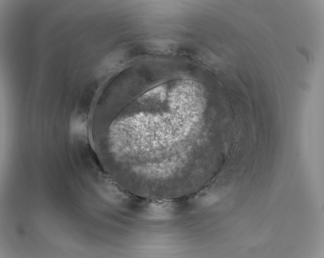 X0000111780720200908061115