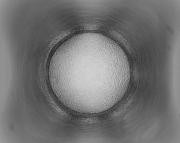 X0000111780721200908061114