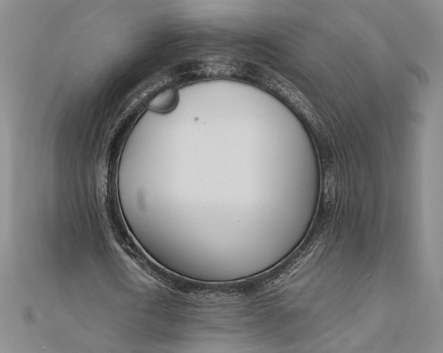 X0000111780722200908061114
