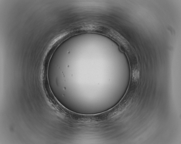 X0000111780724200908061114