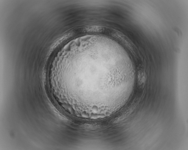 X0000111780725200908061114