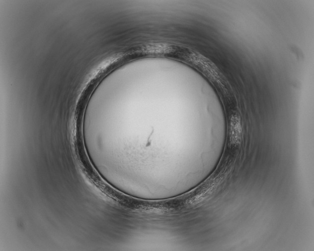 X0000111780726200908061114