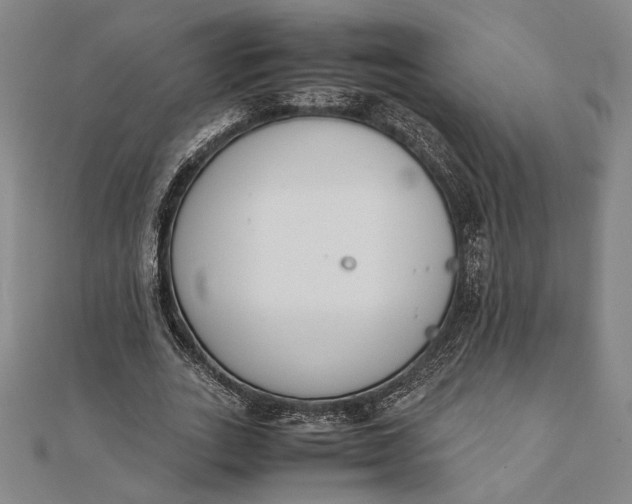 X0000111780727200908061114
