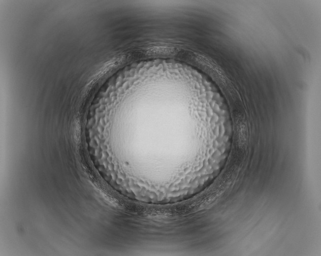 X0000111780729200908061114