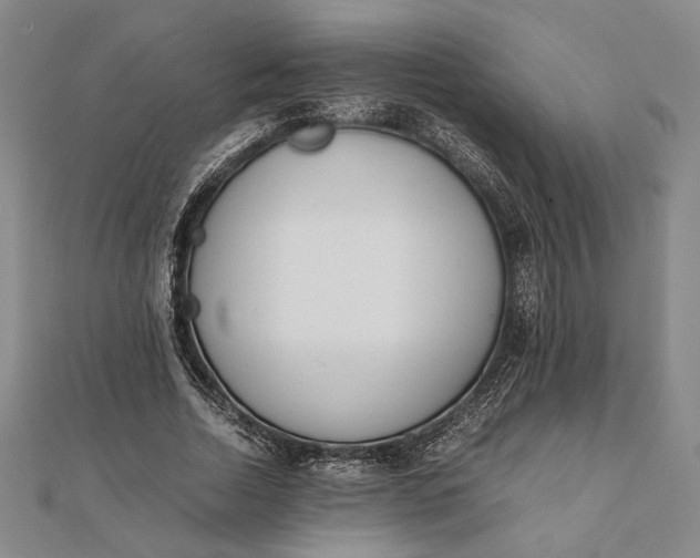 X0000111780730200908061114