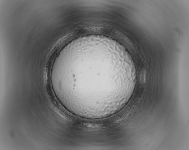 X0000111780733200908061114