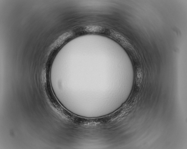 X0000111780734200908061114
