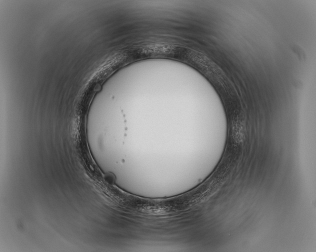 X0000111780735200908061114