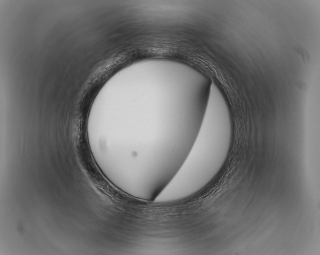X0000111780736200908061114