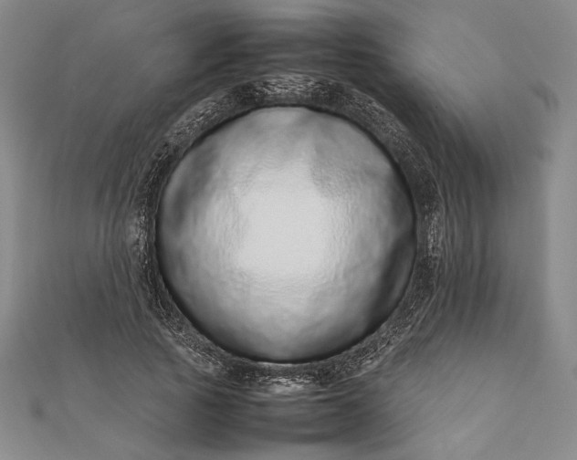 X0000111780737200908061114