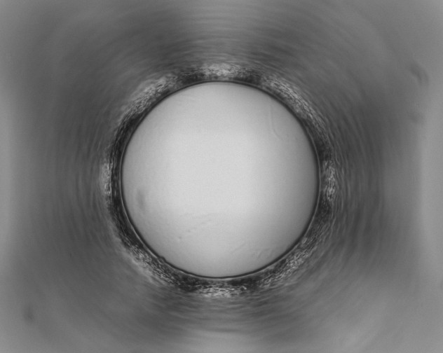 X0000111780738200908061114