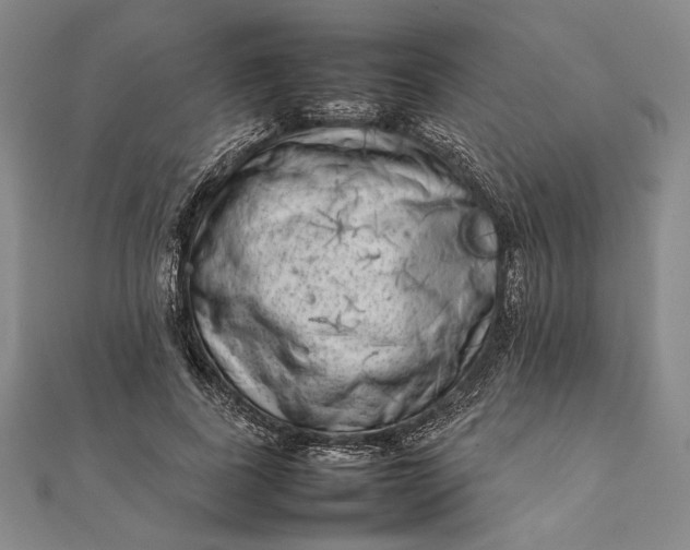 X0000111780739200908061114