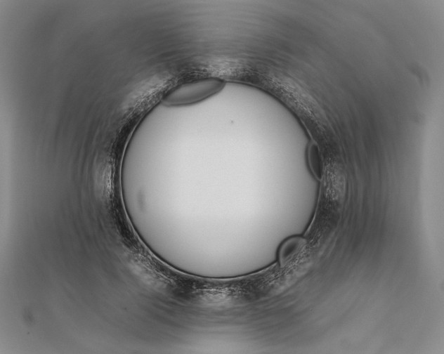 X0000111780740200908061114