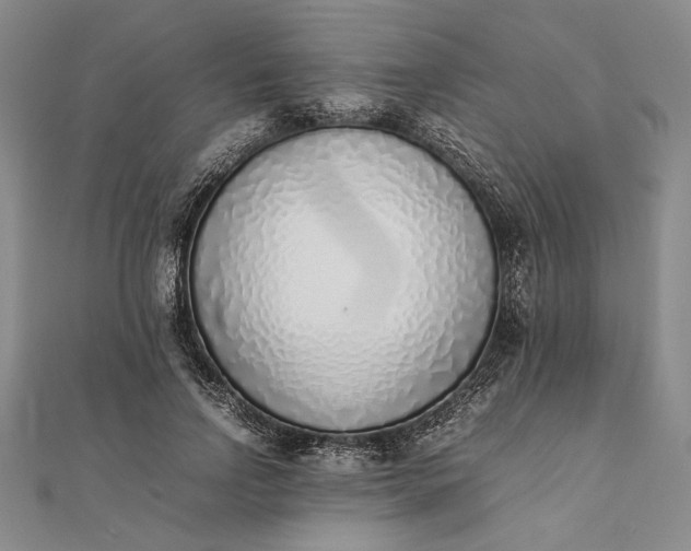 X0000111780742200908061114