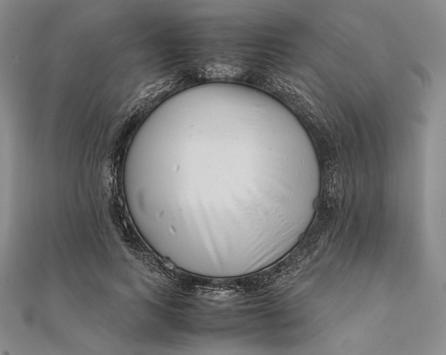 X0000111780743200908061114