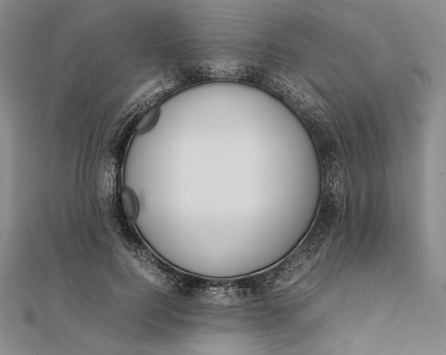 X0000111780744200908061114