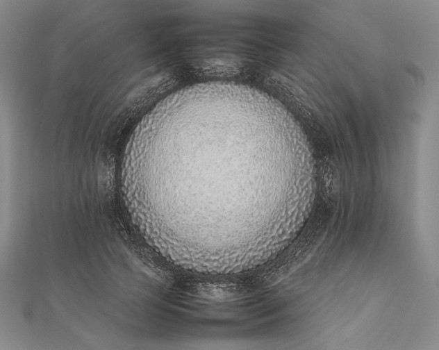 X0000111780745200908061114