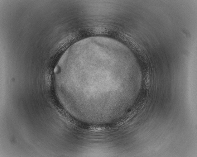 X0000111780746200908061114