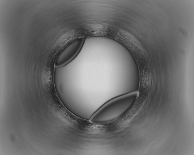 X0000111780748200908061114