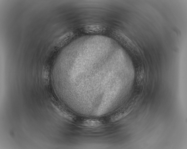 X0000111780749200908061114