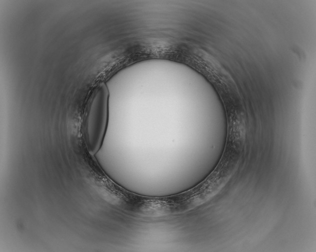 X0000111780750200908061114