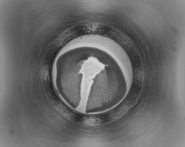 X0000111780754200908061114