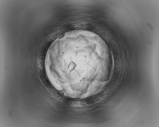 X0000111780755200908061114