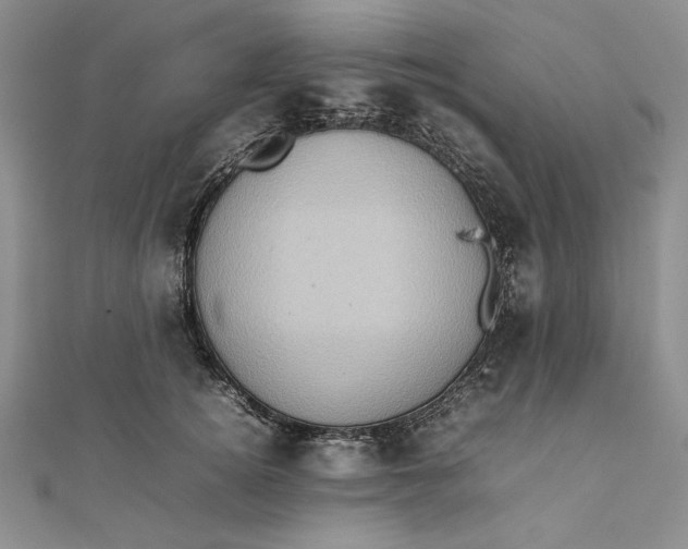 X0000111780756200908061114
