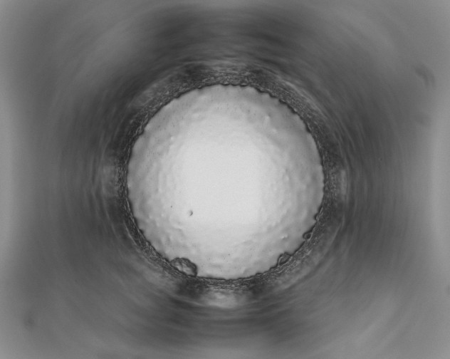 X0000111780757200908061114