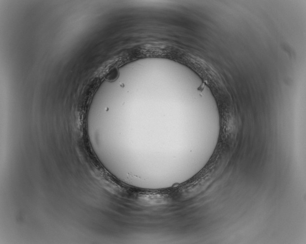 X0000111780759200908061114