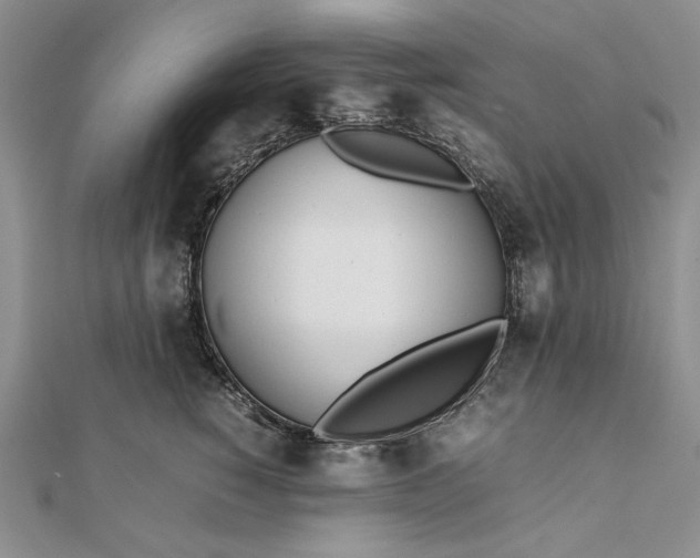 X0000111780760200908061114