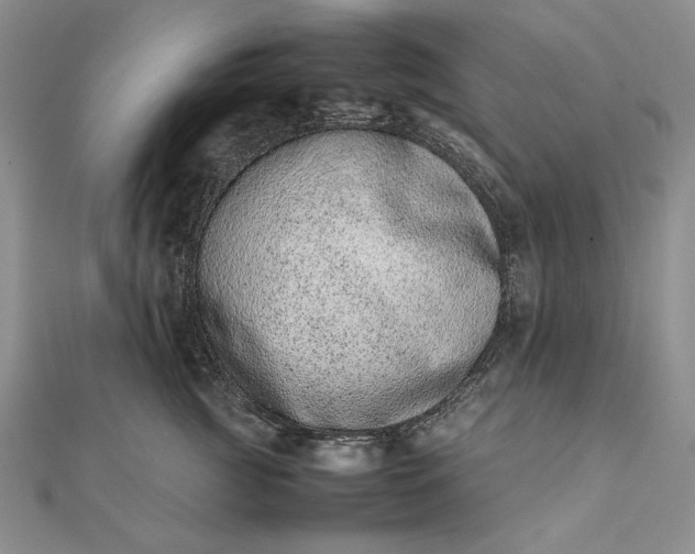 X0000111780761200908061114