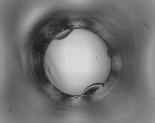 X0000111780762200908061114