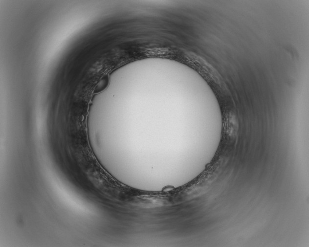 X0000111780763200908061114