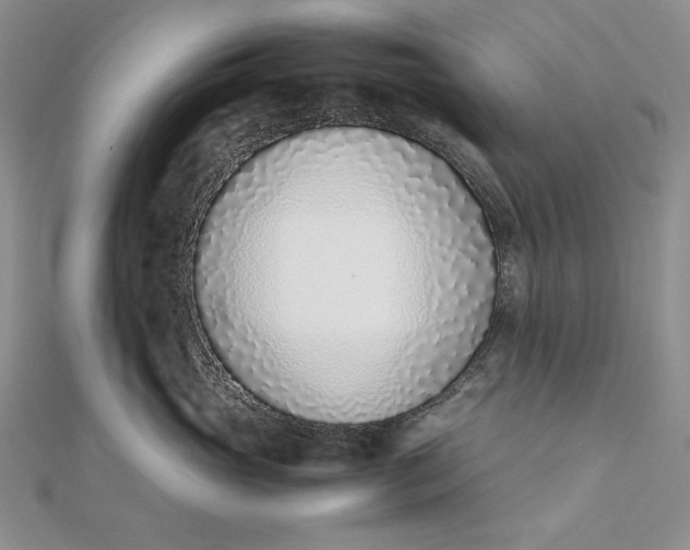 X0000111780765200908061114