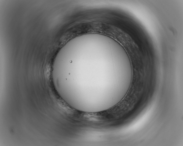 X0000111780767200908061114