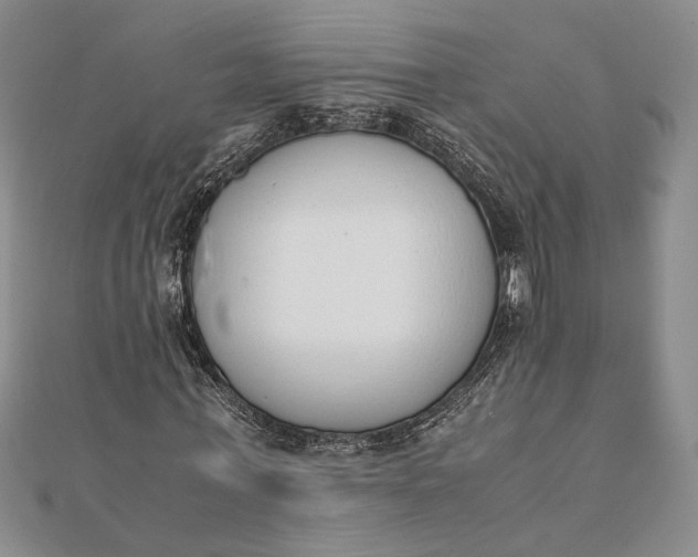 X0000111780771200908061114