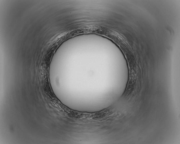 X0000111780773200908061114
