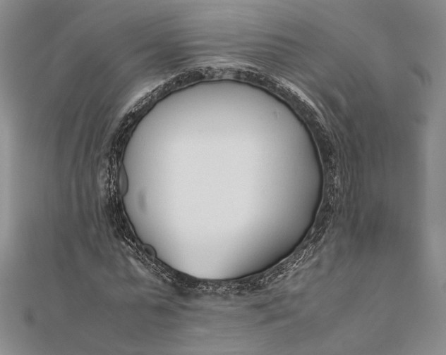 X0000111780775200908061114