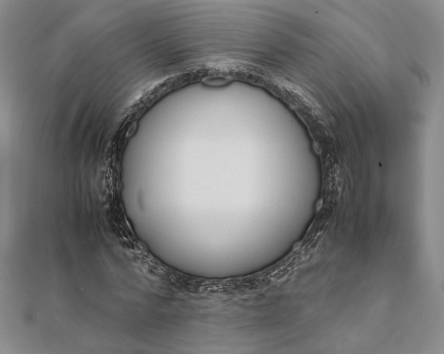 X0000111780776200908061114