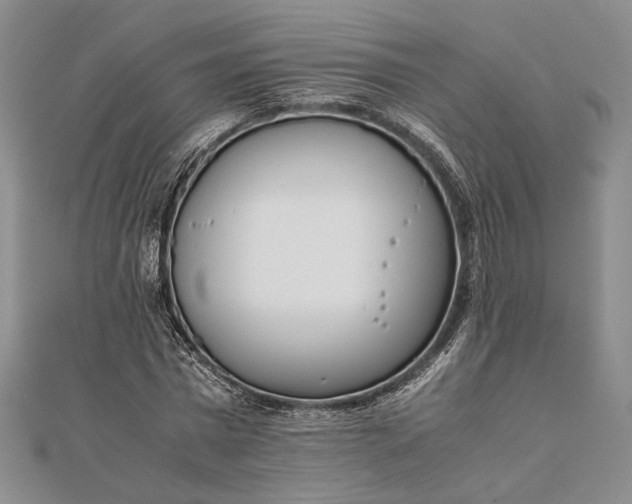 X0000111780777200908061114