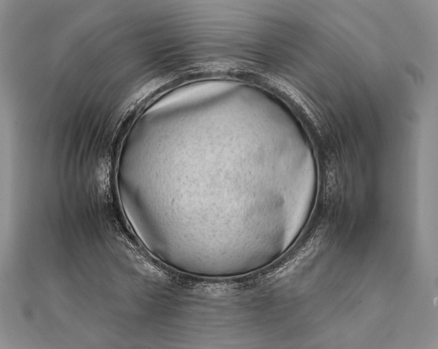 X0000111780778200908061114