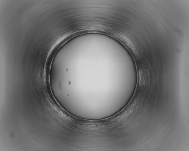 X0000111780780200908061114