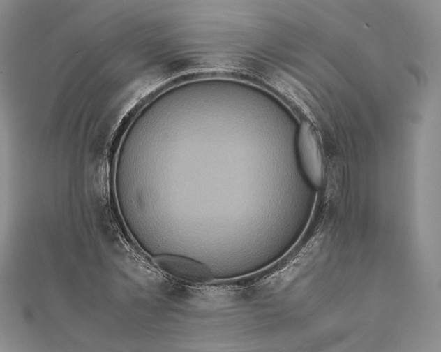 X0000111780781200908061114