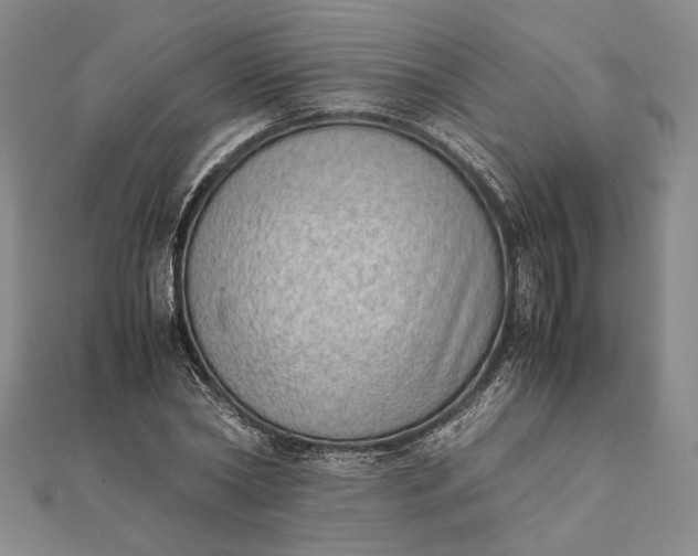 X0000111780782200908061114