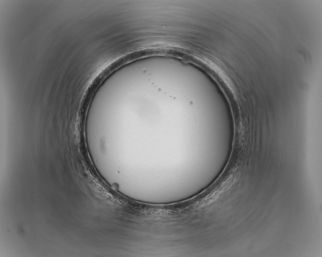 X0000111780783200908061114