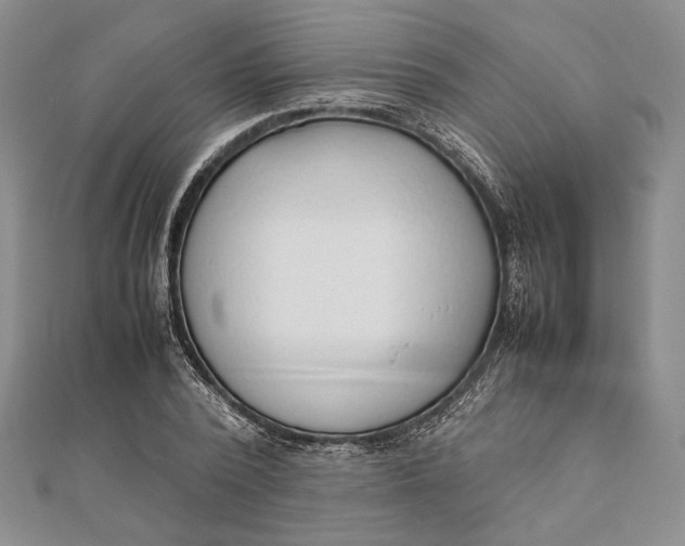 X0000111780784200908061114