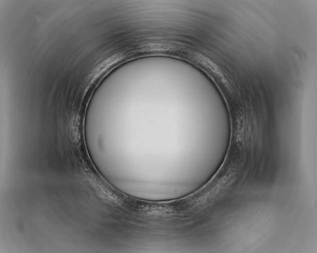 X0000111780786200908061114