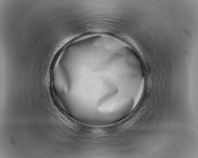 X0000111780787200908061114