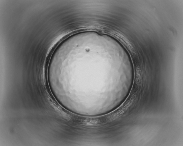 X0000111780788200908061114